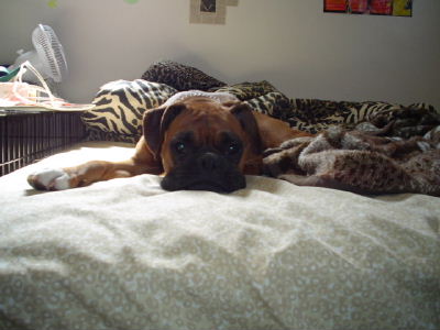 Princess