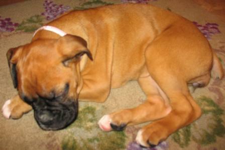 Princess_Izabella_7_-_Sleeping_Beauty