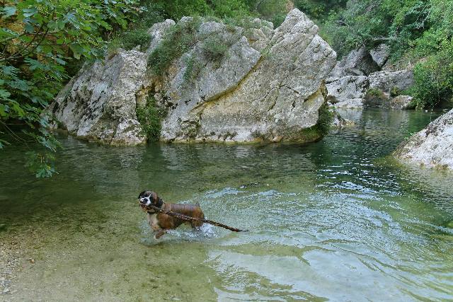 Prize stick