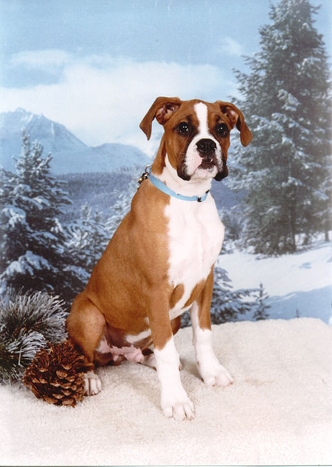 Professional pic #2