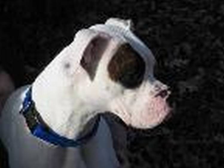 profile