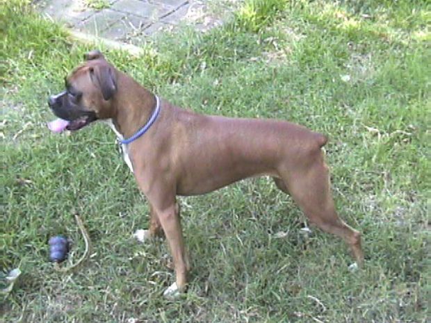Profile_large