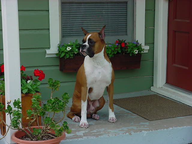 Protecting the House