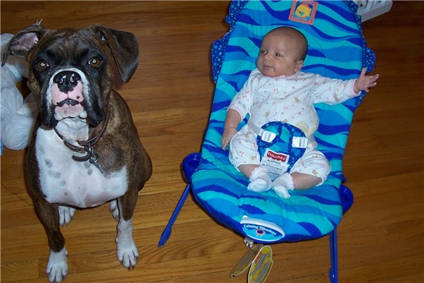 proud big brother