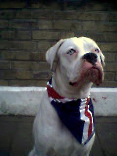 Proud to be British