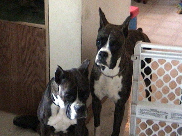 Pru and Buck