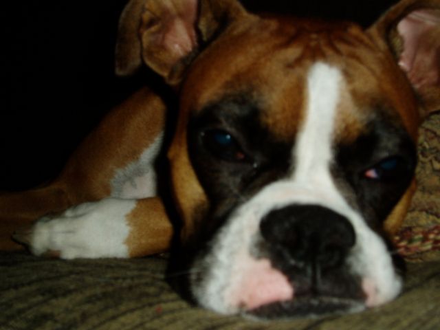 Puh Leeez!!! I'm TRYING to sleep here!