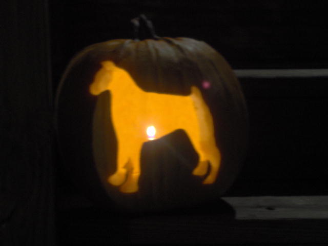 Pumpkin Carving