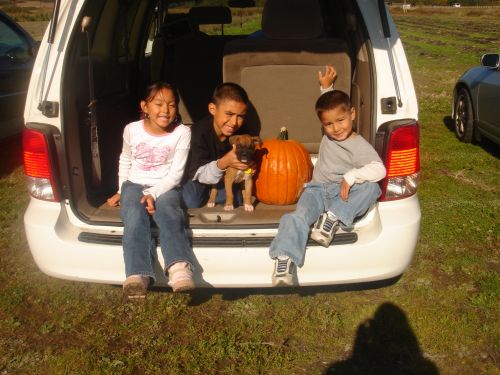@ Pumpkin Patch