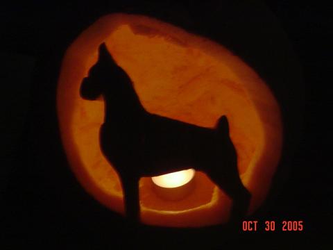 Pumpkin