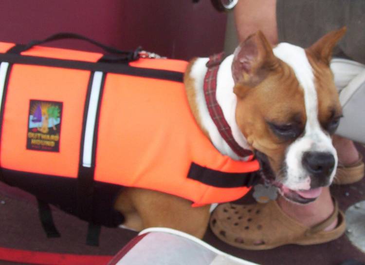 Punchinella in her life vest