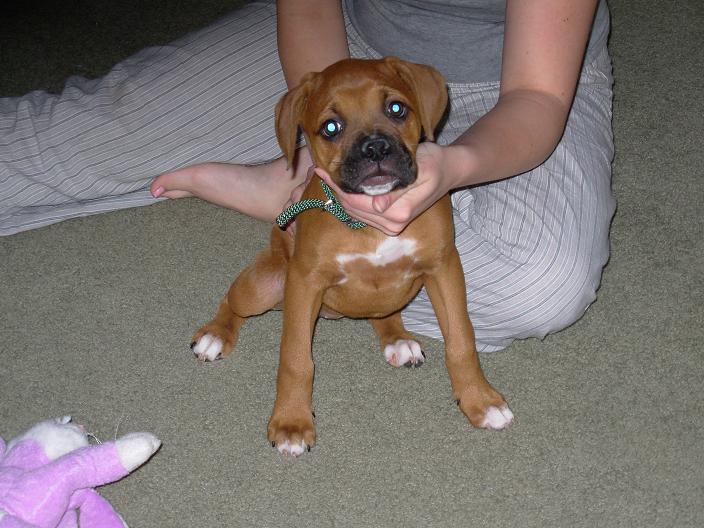 pup5_2_