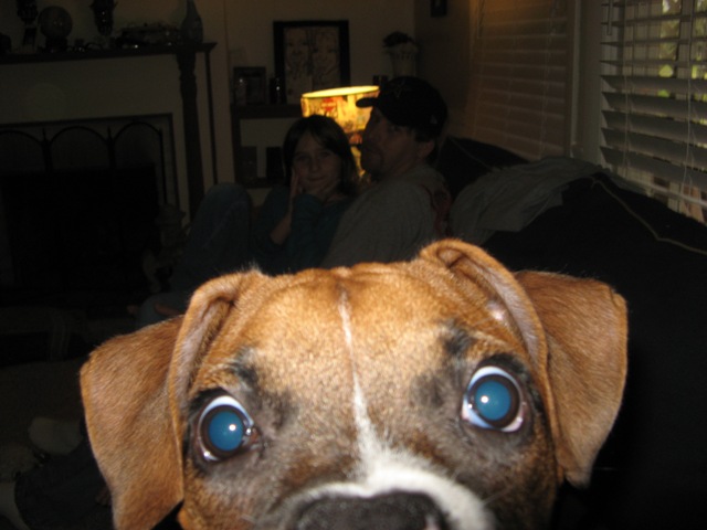 pup_073