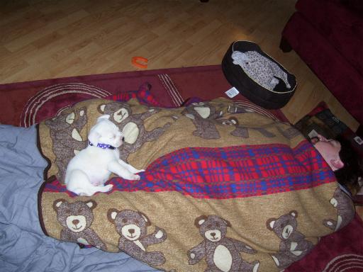 puppy and daddy