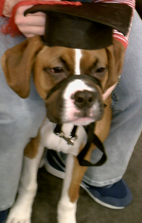 Puppy class graduate!