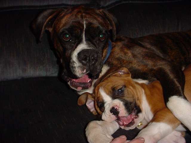 Puppy love!