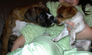 Puppy Love!
