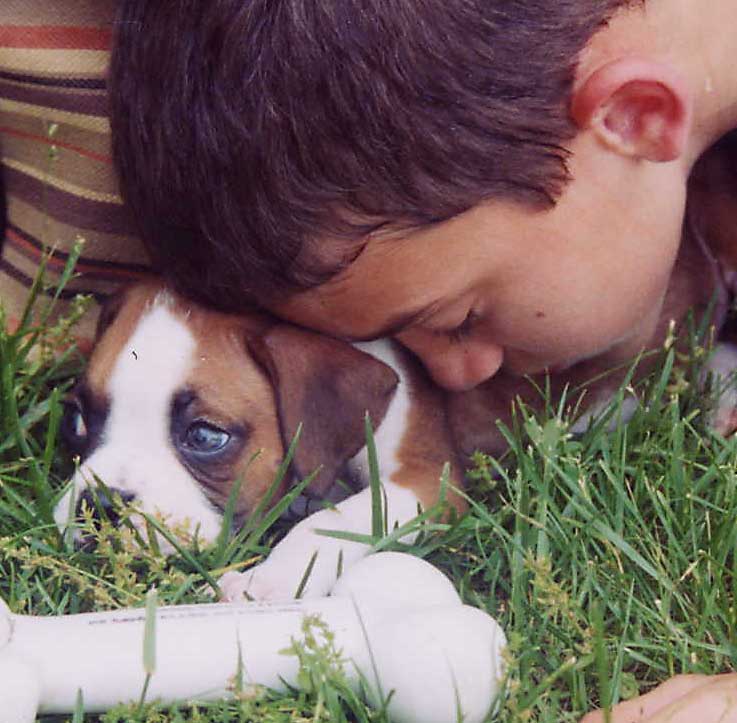 Puppy love