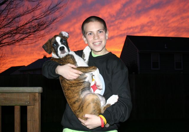 Puppy Love