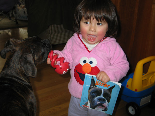 puppy training