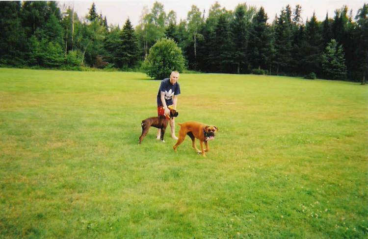 Pups and Daddy