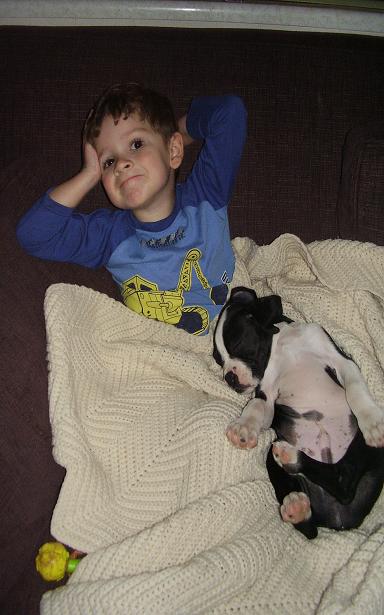 pups make sick kids feel better