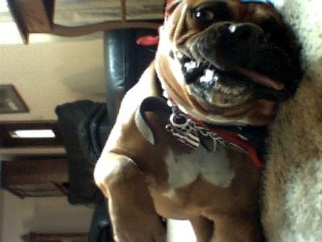 Pups!! shesh .