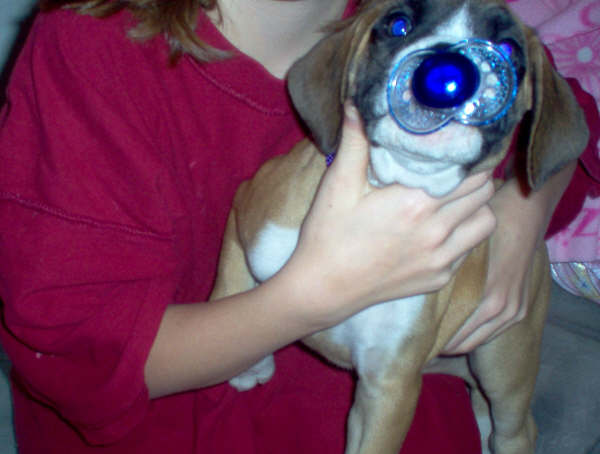 Purity with Kobys binky