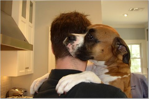 Put me down, please