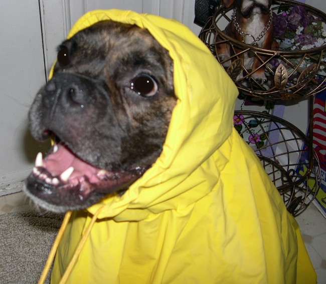 Put on your Hood!