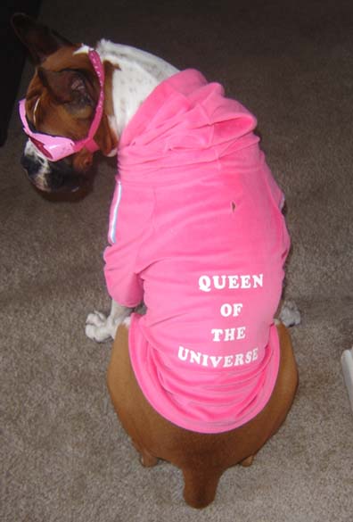 Queen for the Day