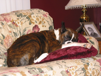 queen of the couch