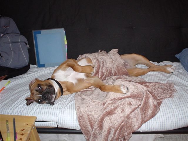 Queen Wrigley