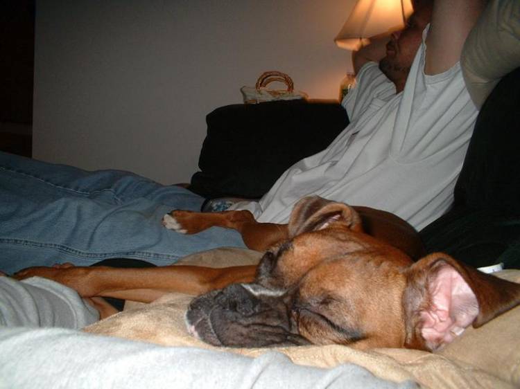 Quick Nap