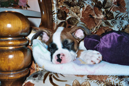 Quick Snooze zzzzzzz