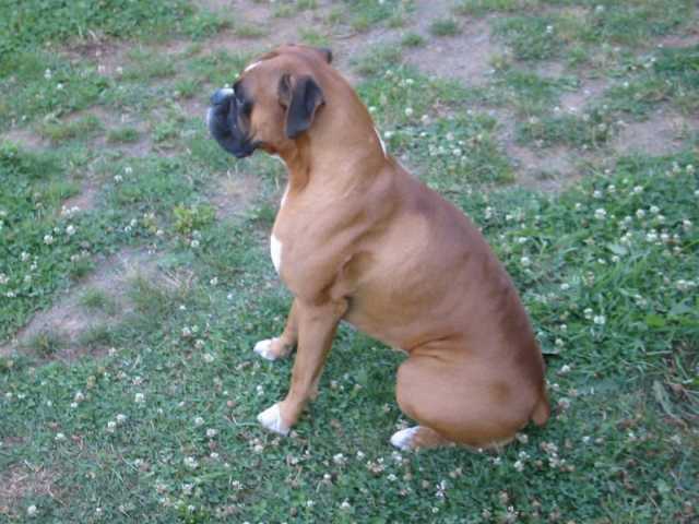 Quimby_1