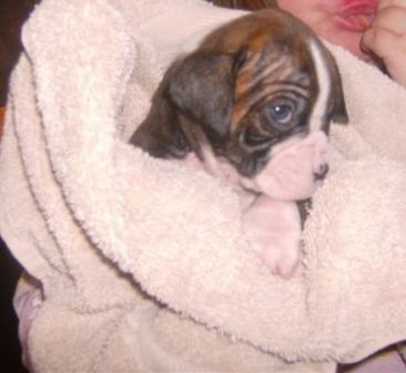 quinn first bath