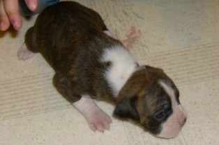 QUINN_AT_2_5_WEEKS