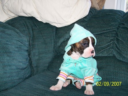 quinn_first_outfit