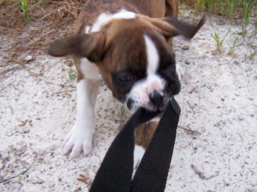Quit Taking My Picture.