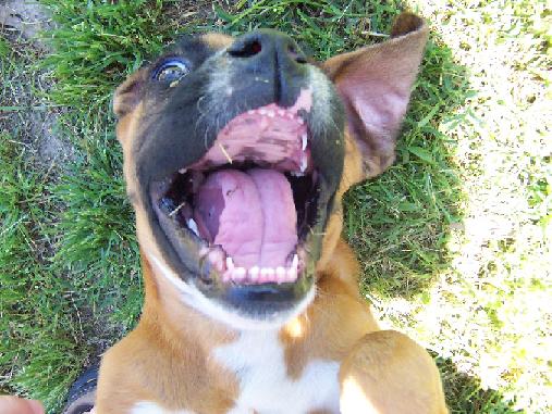 Quit ticklin me!!