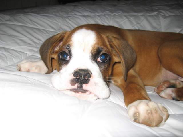Quit waking me up!