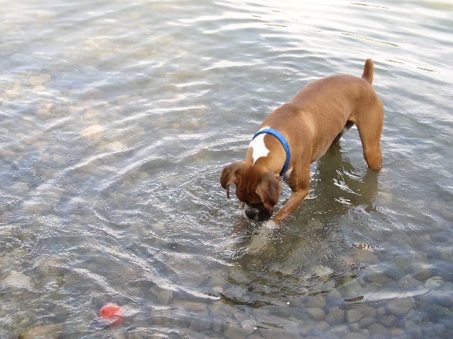 R.J. Fishing.