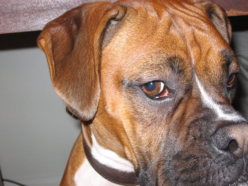 R U talking to me?