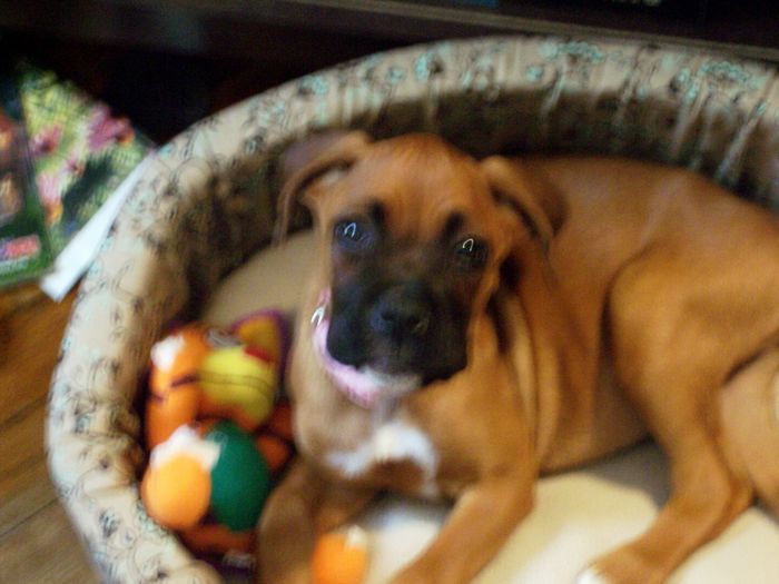 Rachel in her new bed
