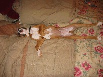 Racked Out