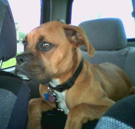 Raevyn @ 6 mos old