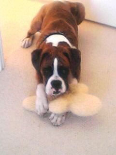 Raider with toy