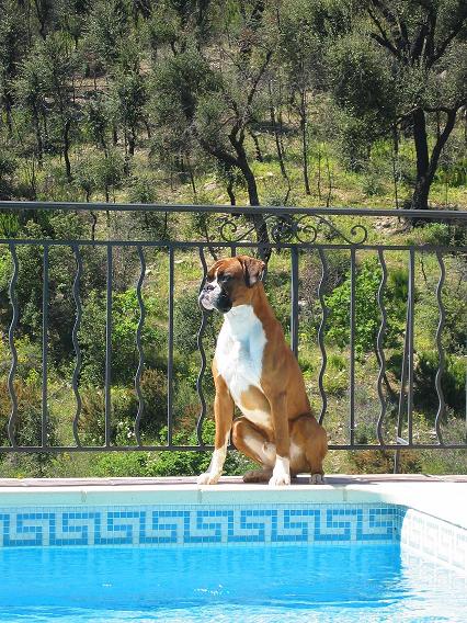 Raiko at his pool