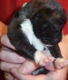Raina-10daysold